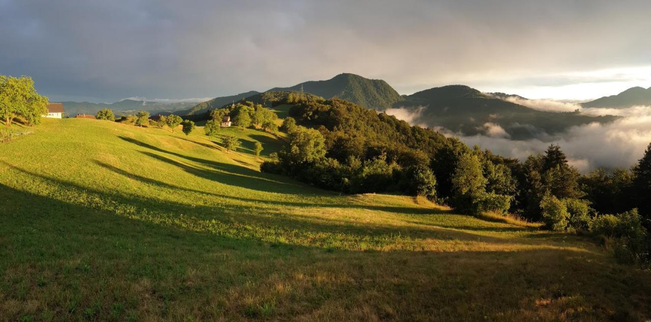 Apartma Pri Bostjanu Škofja Loka Esterno foto