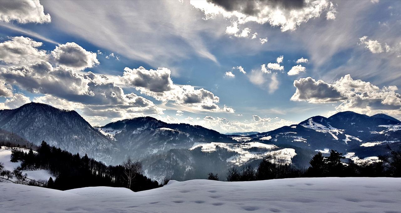 Apartma Pri Bostjanu Škofja Loka Esterno foto