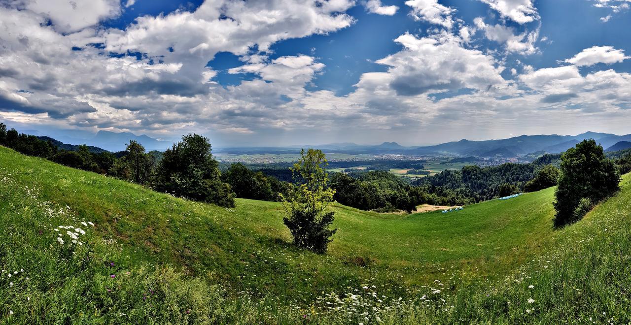 Apartma Pri Bostjanu Škofja Loka Esterno foto