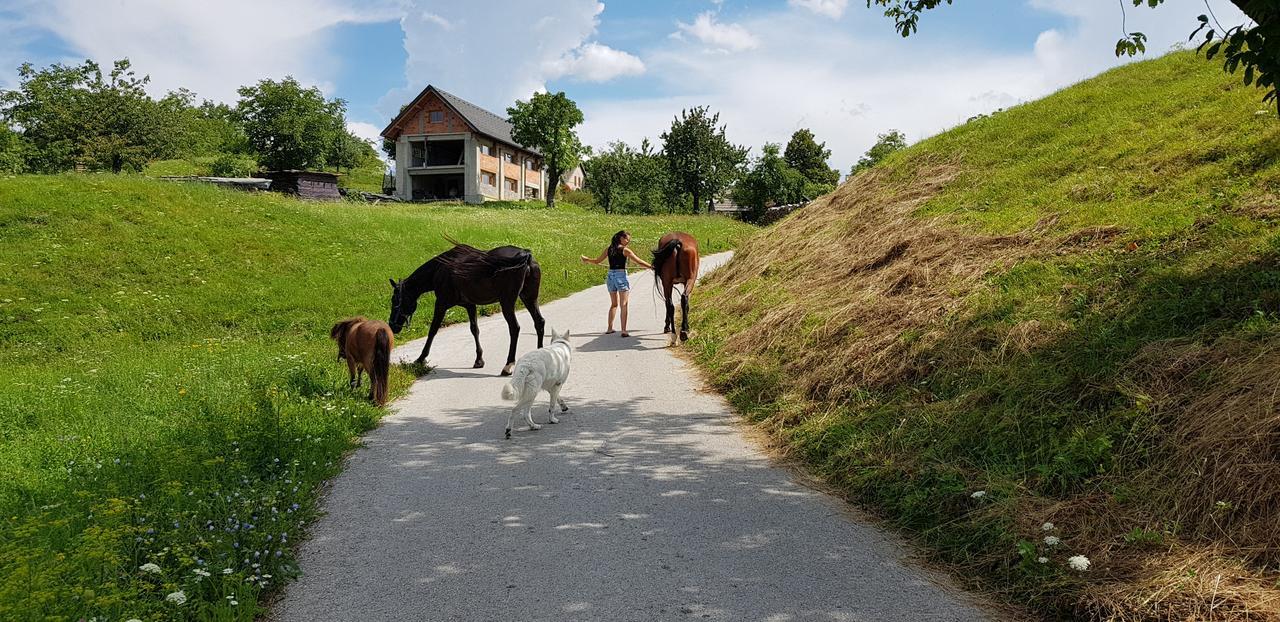 Apartma Pri Bostjanu Škofja Loka Esterno foto