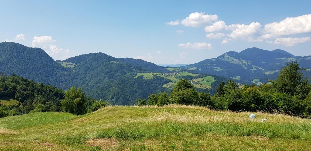 Apartma Pri Bostjanu Škofja Loka Esterno foto