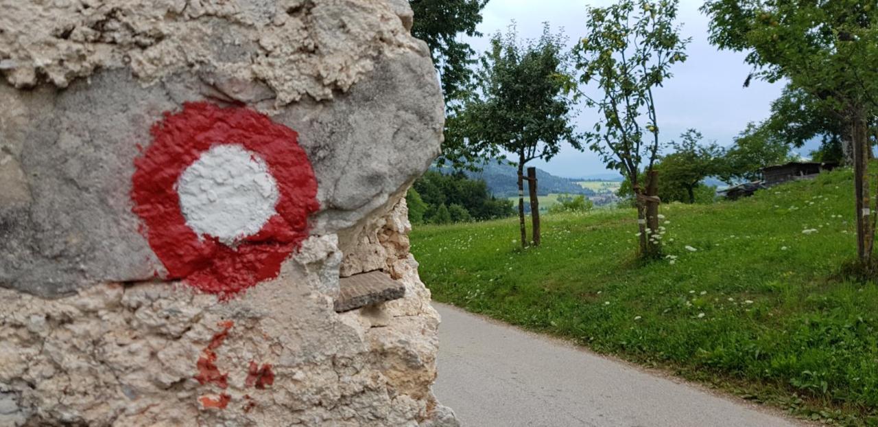 Apartma Pri Bostjanu Škofja Loka Esterno foto