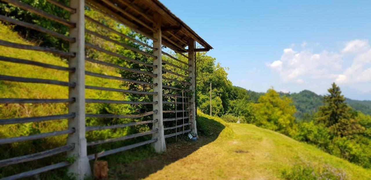 Apartma Pri Bostjanu Škofja Loka Esterno foto